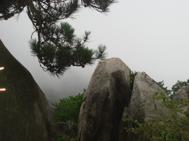 dsc08798.jpg