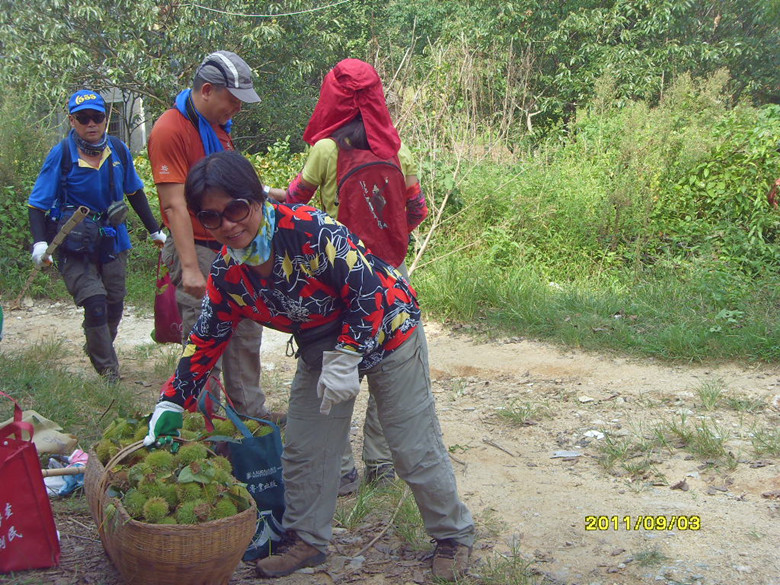 sdc12726_.jpg