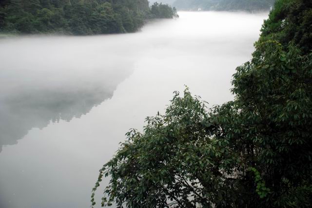 С dsc_0006.jpg