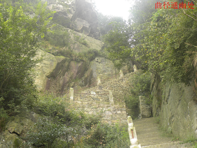 dscn3564_.jpg