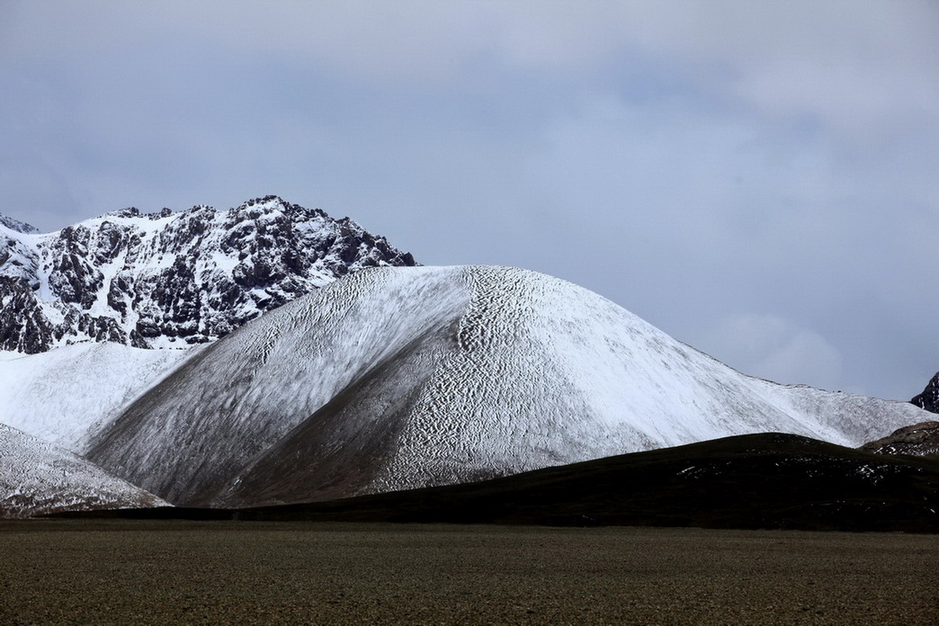 _mg_3103.jpg