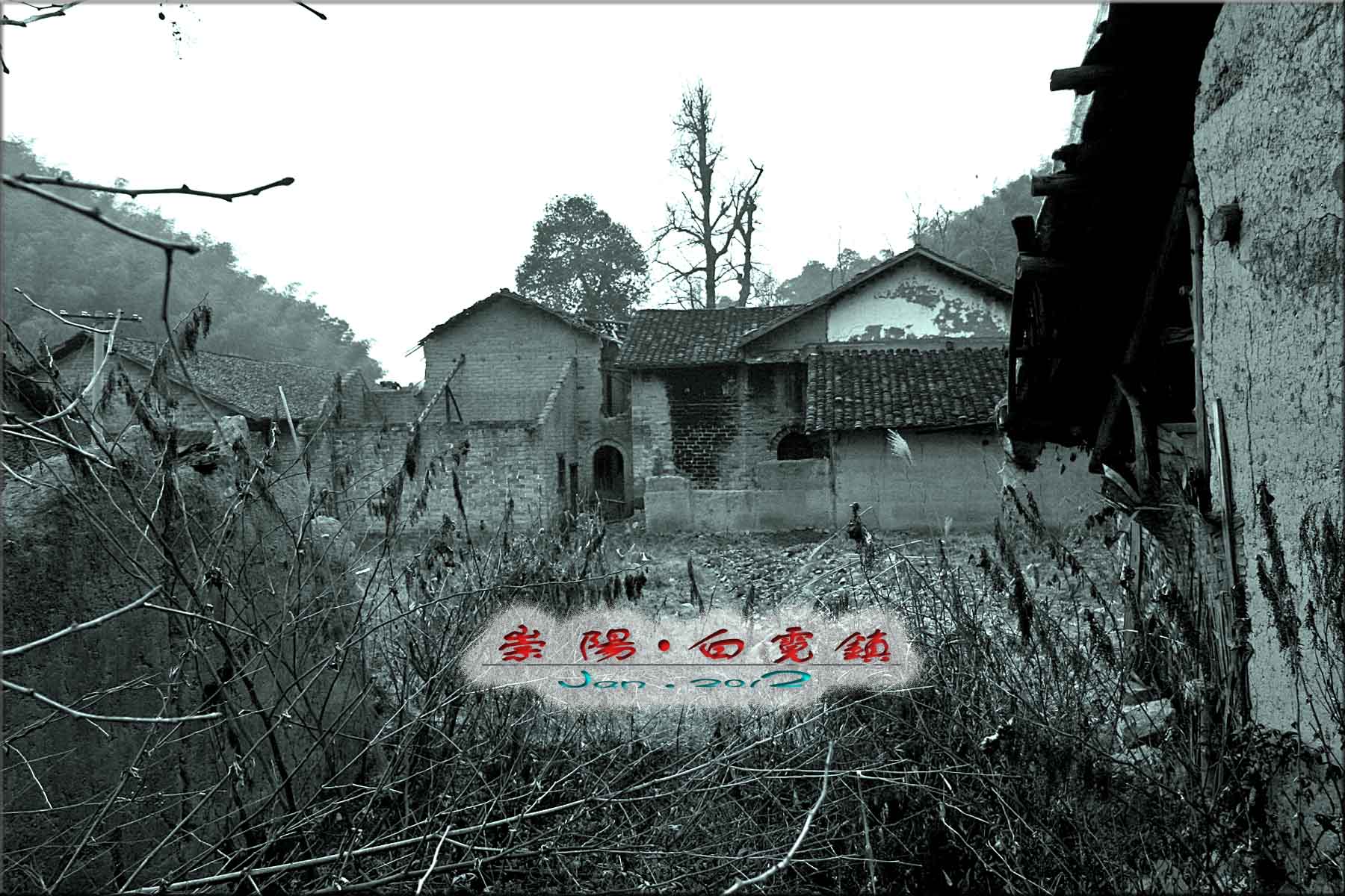 ۿļ9.jpg