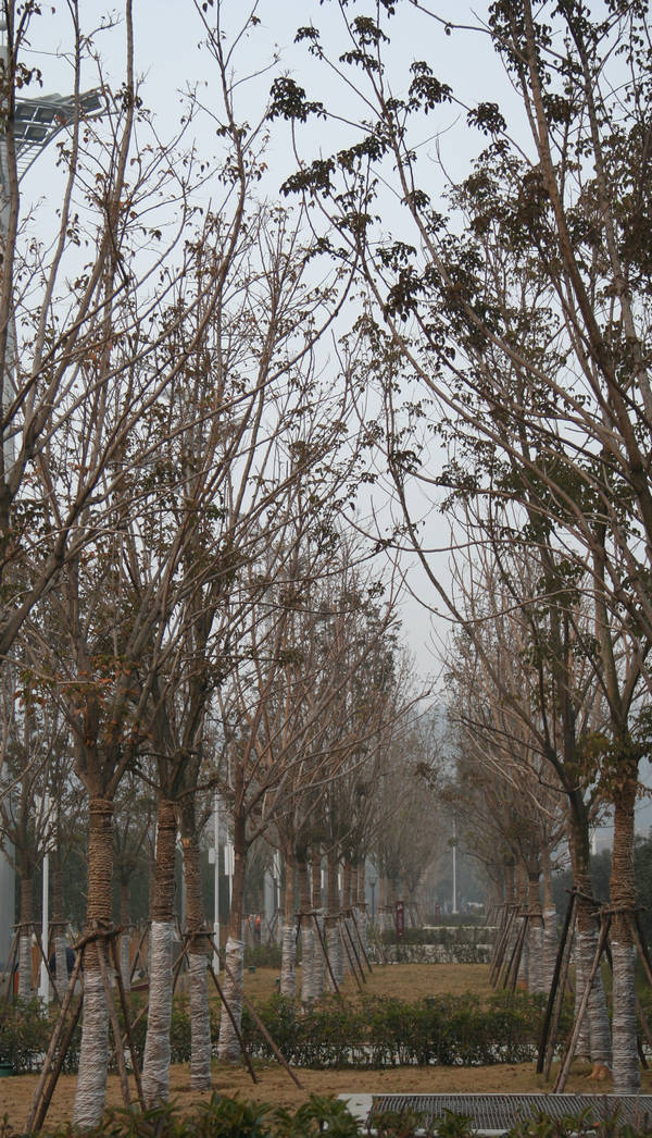 img_3690.jpg