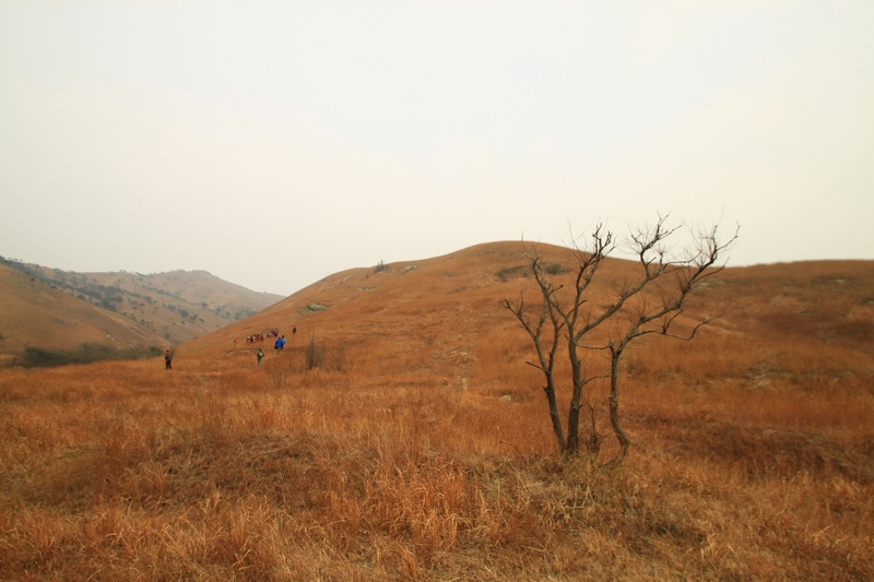 2012110µ 013.jpg
