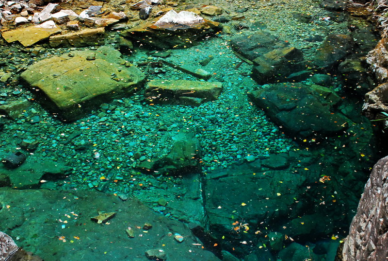 dsc_0203.jpg