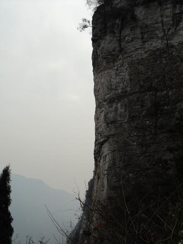 dsc06824_.jpg