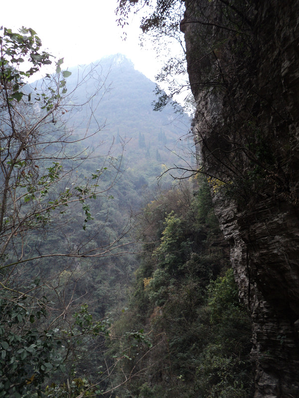 dsc06833_.jpg