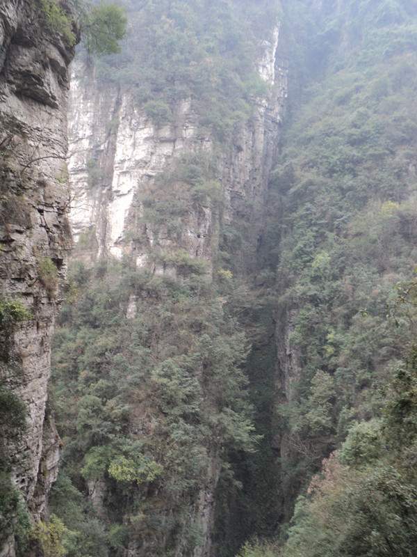 dsc06836_.jpg