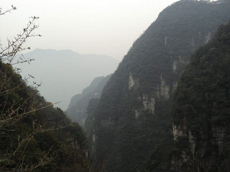 dsc06839_.jpg