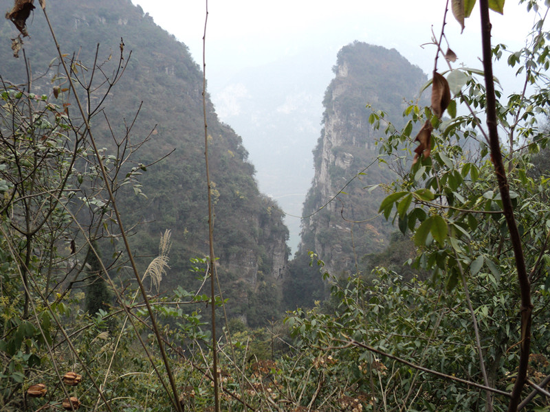 dsc06847_.jpg