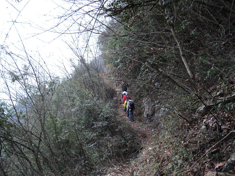 dsc06853_.jpg