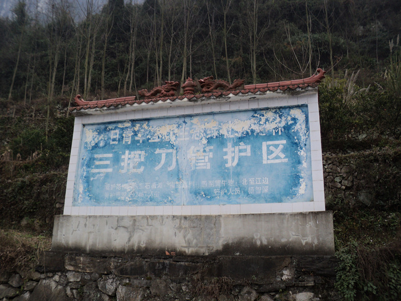 dsc06818_.jpg