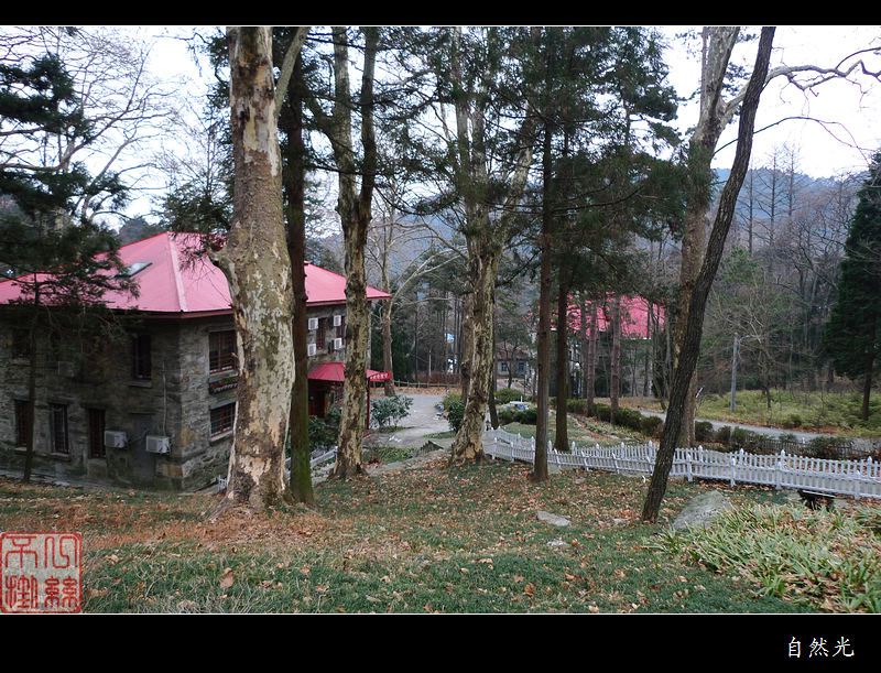 l1280232.jpg