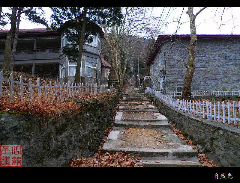 l1280233.jpg