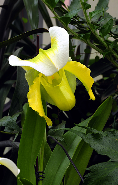 _dsc9469.jpg