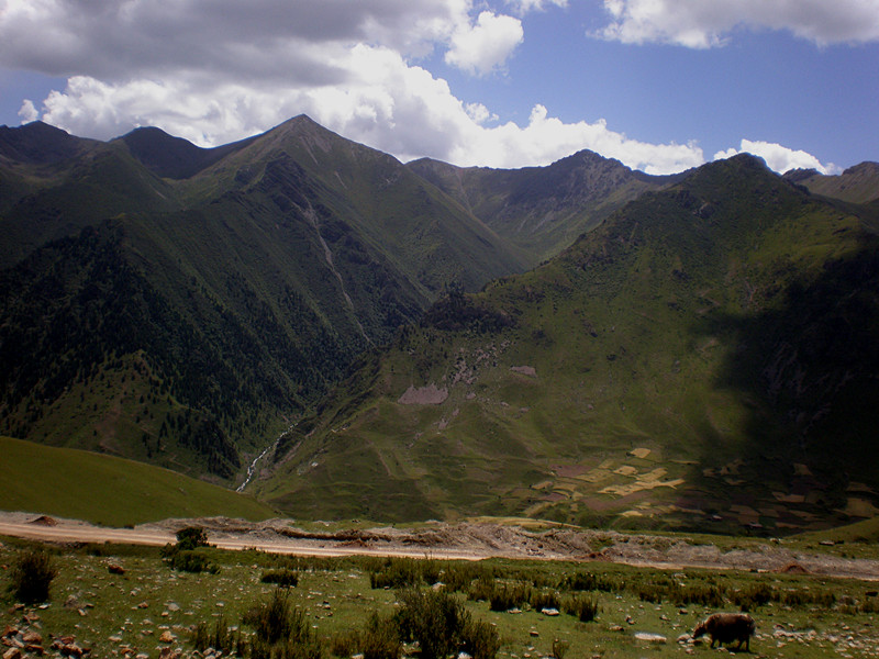 p8240981_.jpg