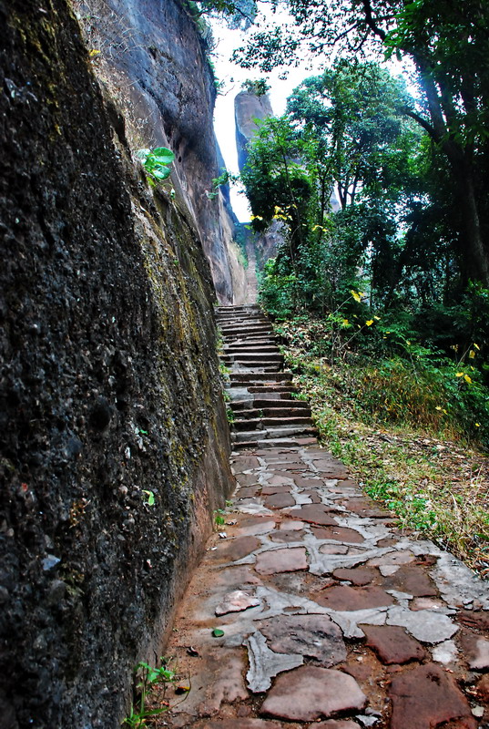 dsc_0292.jpg