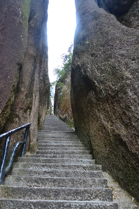dsc_0402.jpg