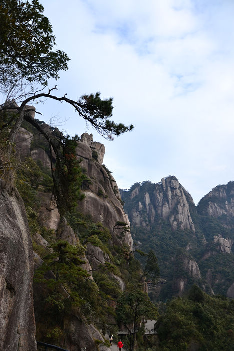 dsc_0358.jpg