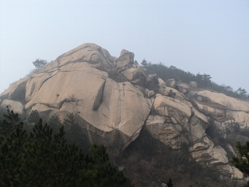 dsc06703_.jpg