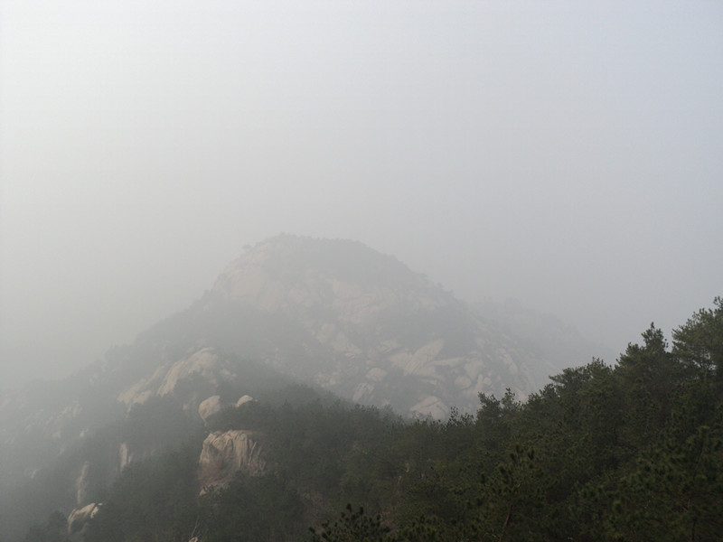 dsc06717_.jpg