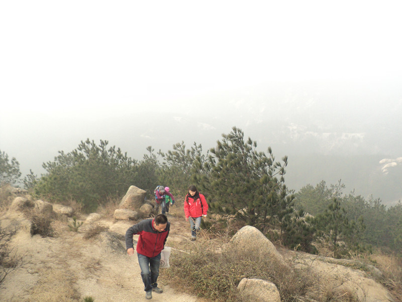 dsc06724_.jpg