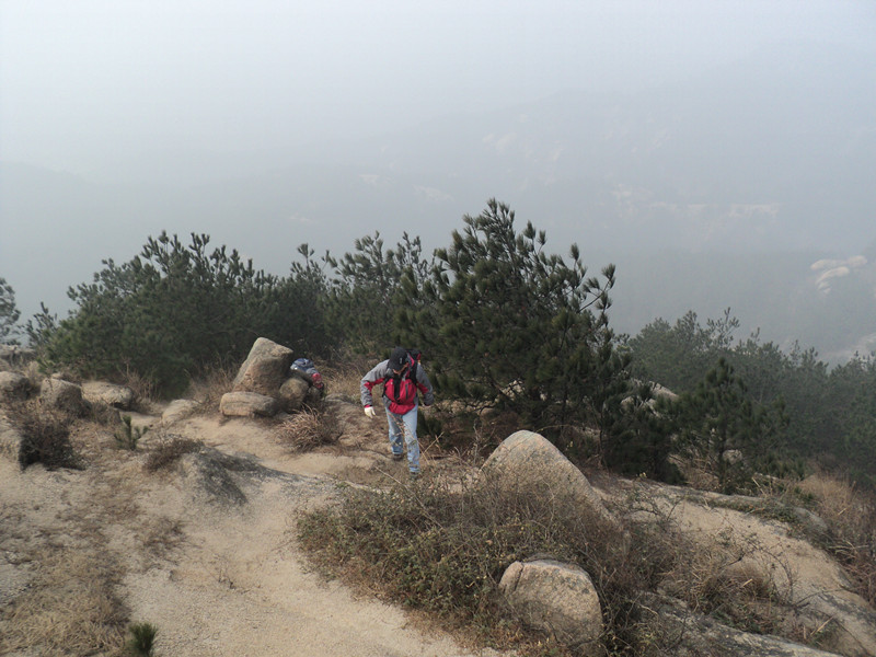 dsc06723_.jpg
