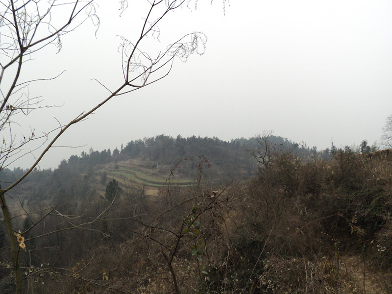 dsc06857_.jpg