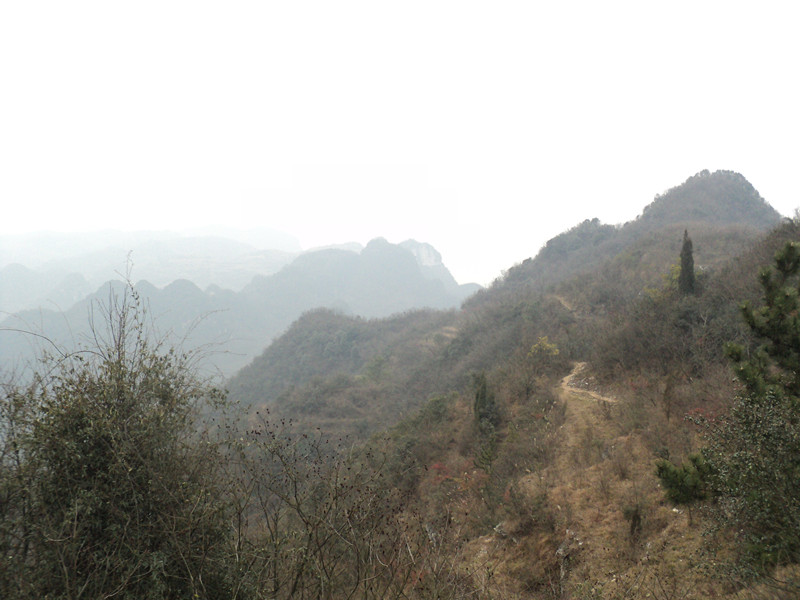 dsc06871_.jpg