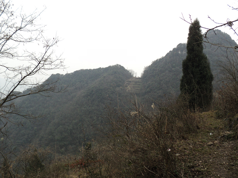 dsc06877_.jpg