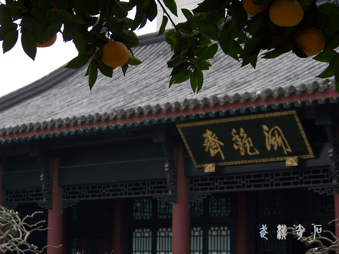 20120103b人ʯ-ʯĻ (35).jpg
