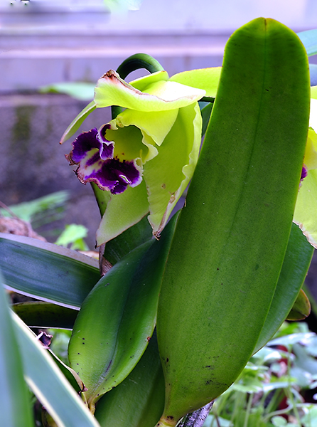 _dsc9501.jpg