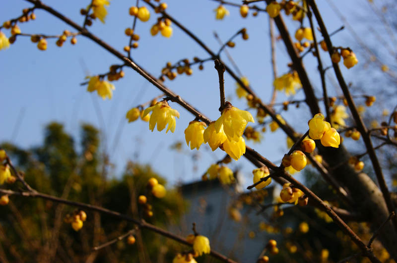 dsc02944.jpg