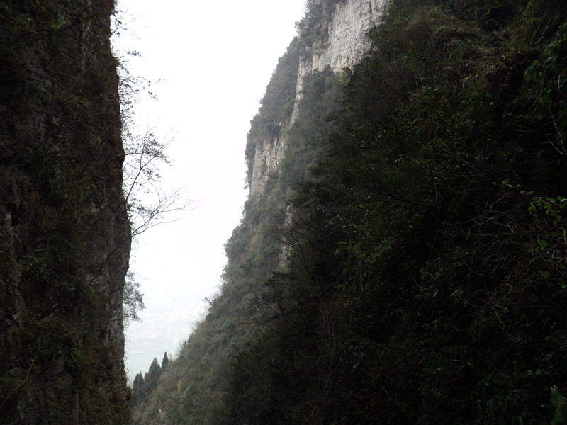 dsc06898_.jpg