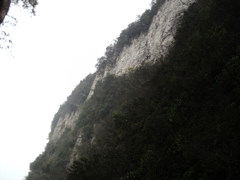 dsc06899_.jpg