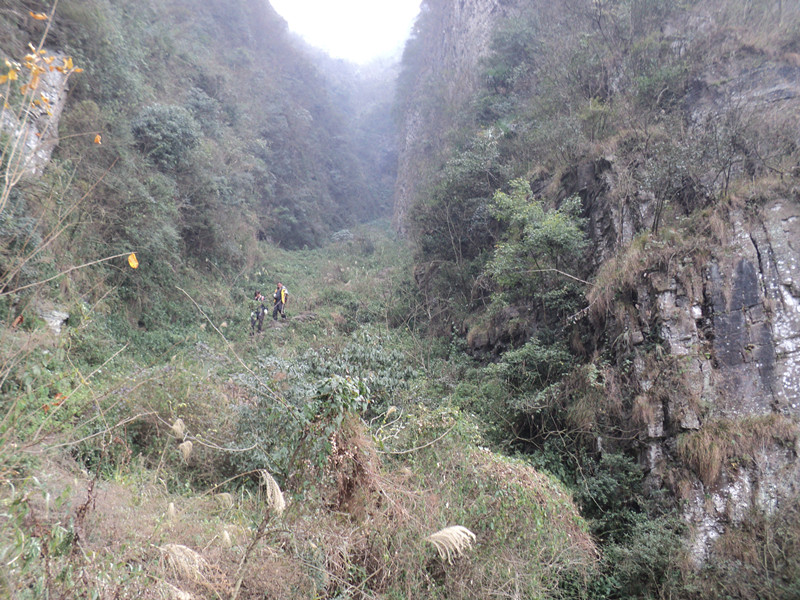 dsc06901_.jpg