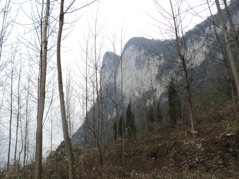 dsc06902_.jpg
