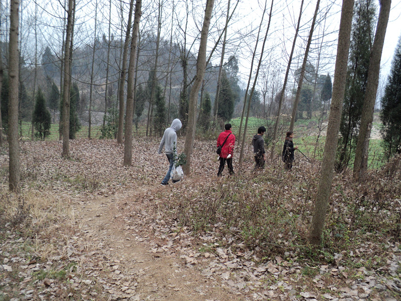dsc06903_.jpg