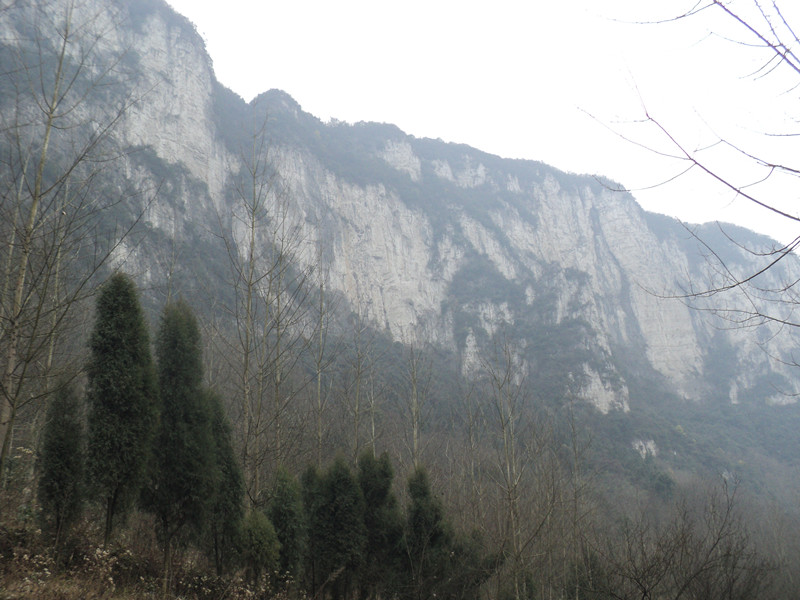 dsc06904_.jpg