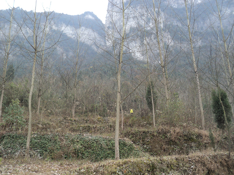dsc06905_.jpg