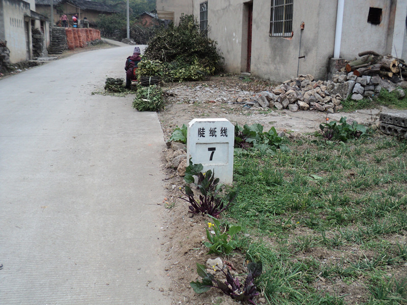 dsc06911_.jpg