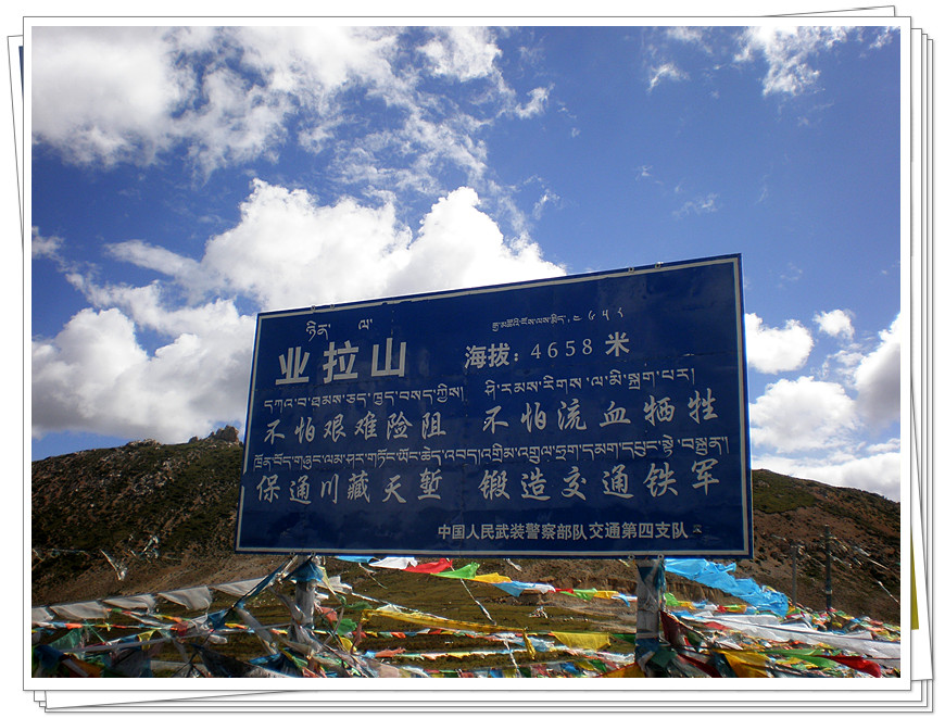 p8230845_.jpg
