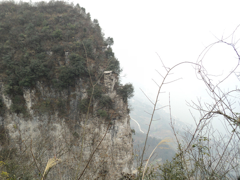 dsc06893_.jpg
