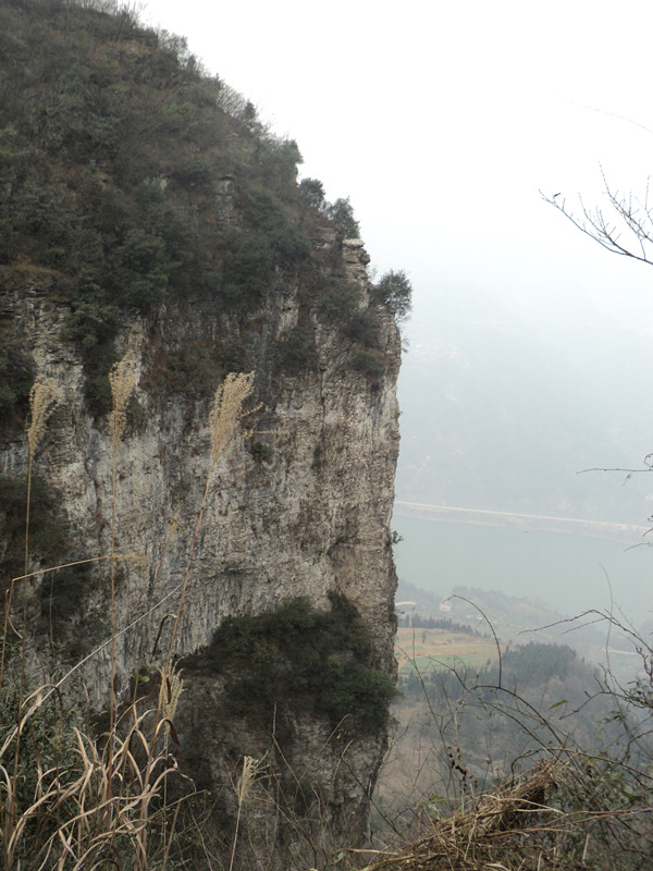dsc06895_.jpg