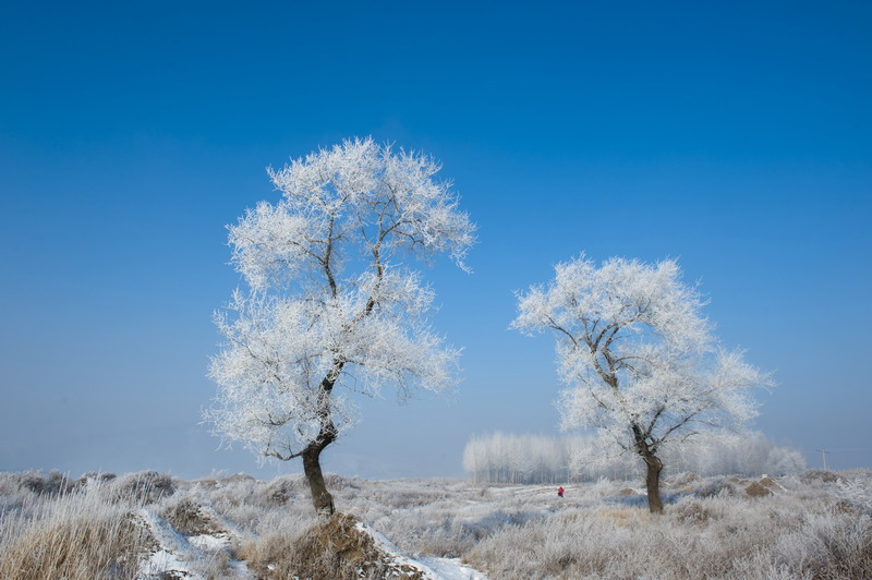 dsc_5354-1_СС.jpg