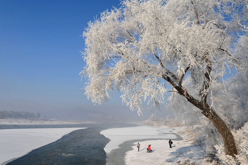 dsc_1708ڡ_СС.jpg
