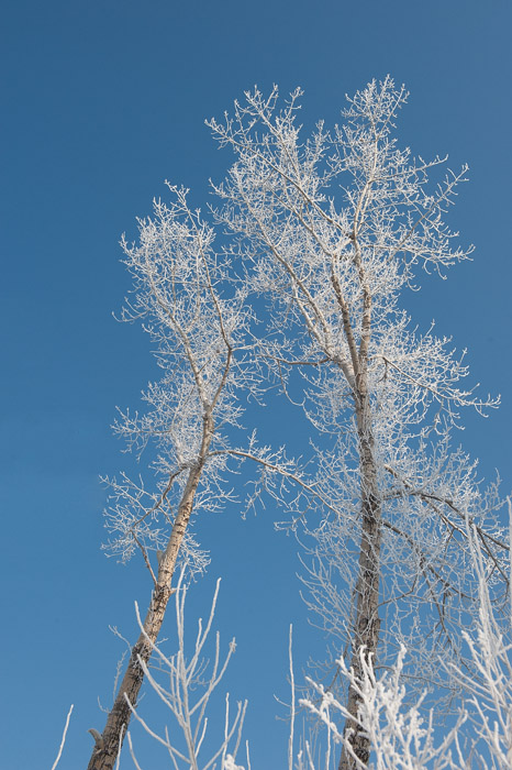 dsc_5518.jpg