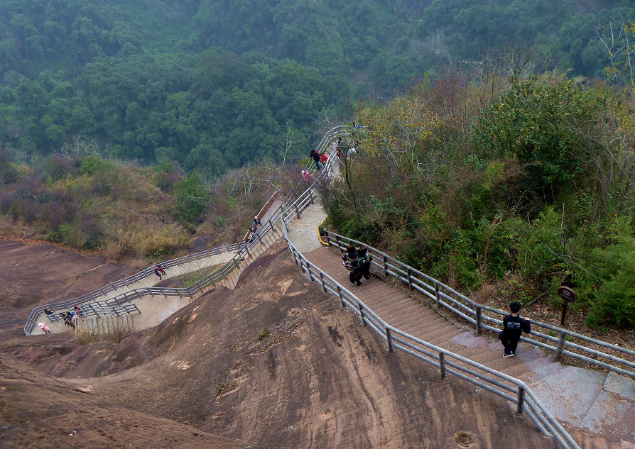 p1010410-1.jpg