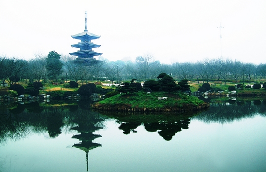 dscn2950.jpg