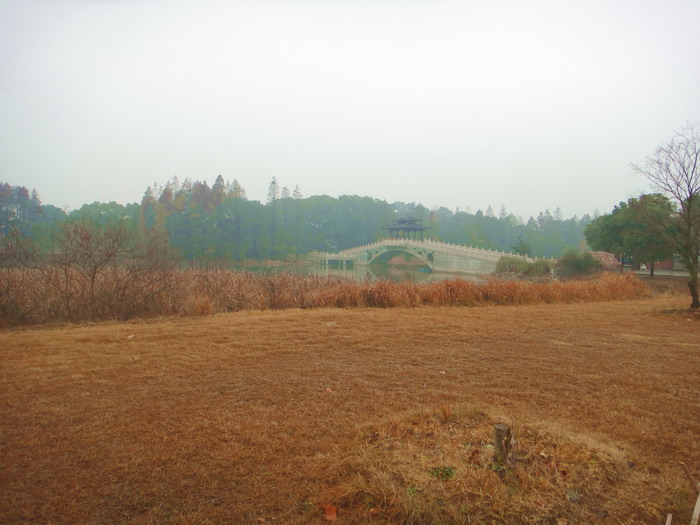 382-12.jpg